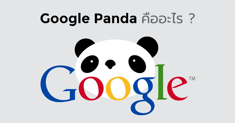 google panda คืออะไร