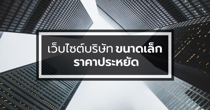 เว็บไซต์บริษัท ขนาดเล็ก ราคาประหยัด