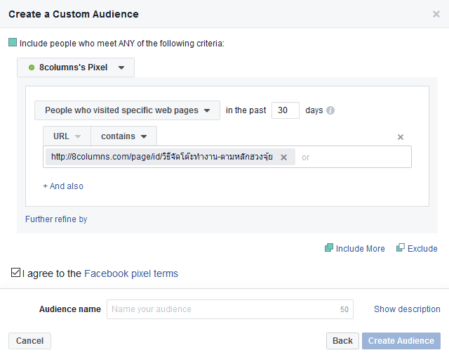 การกำหนด Custom Audience