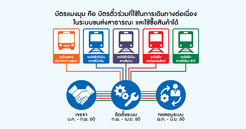 บัตรแมงมุม